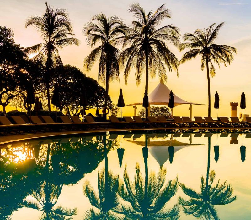 silhouette-coconut-palm-tree-around-swimming-pool-2024-09-18-06-35-19-utc (1)